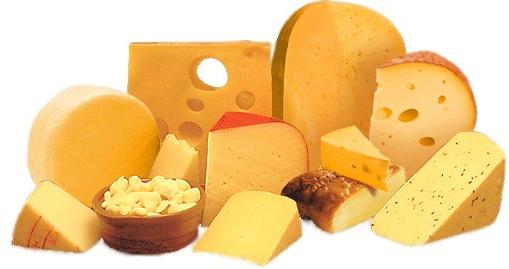 This image has an empty alt attribute; its file name is cheese.jpg